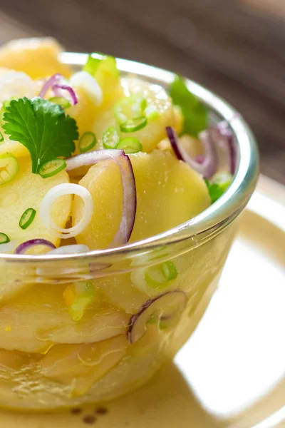 Insalata di patate con cipolla — Foto Stock