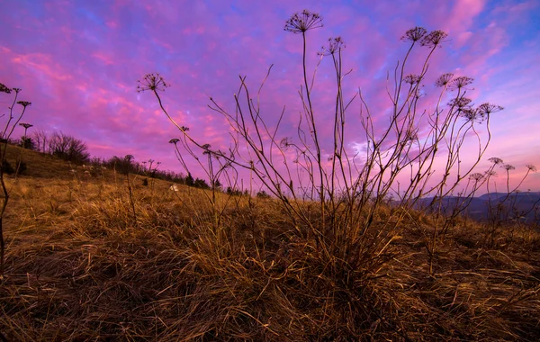 Sonnenuntergang über dem Feld mit dramatischem Himmel — Stockfoto