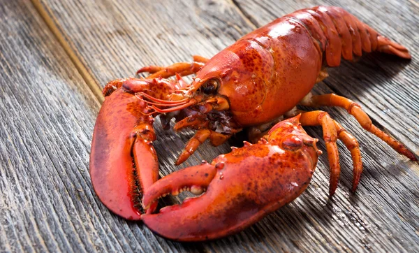 Langosta cocida roja — Foto de Stock