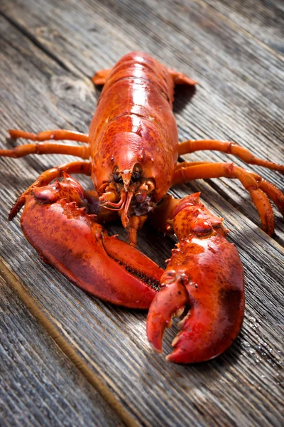 Langosta cocida roja — Foto de Stock