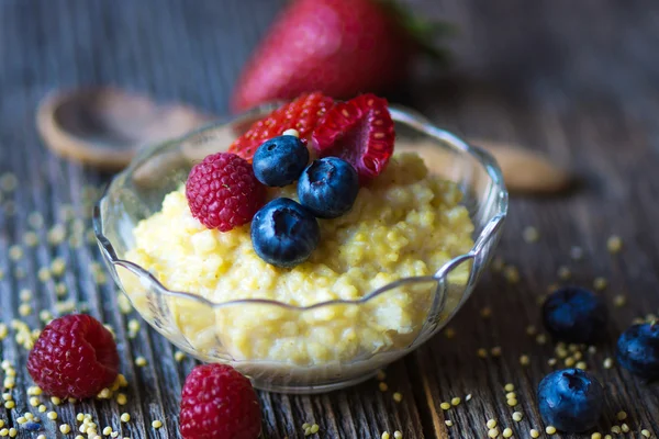 Millet porridge with milk and berries — Stock Photo, Image
