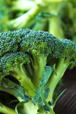 taze organik brokoli