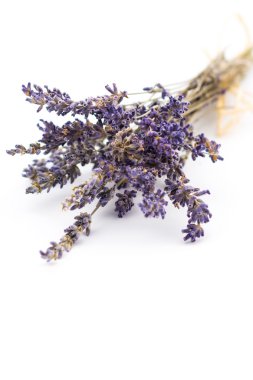 Bir demet lavanta çiçeği.