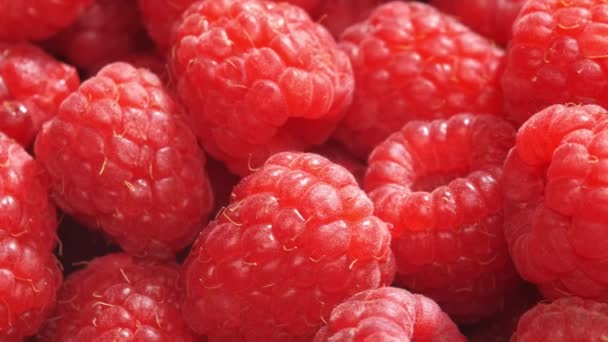 Framboises Fraîches Sucrées Rotation Fond — Video