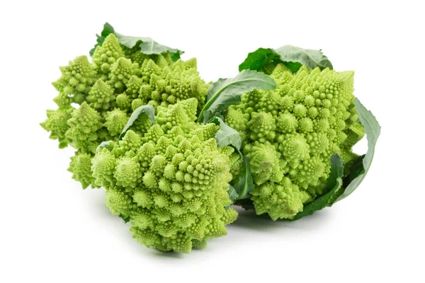 Romanesco Broccoli Isolated White Background — Stock Photo, Image