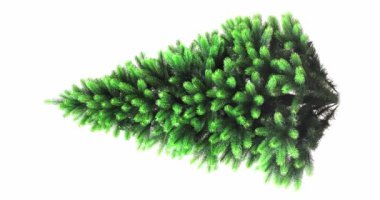Beyaz arka planda süslenmemiş bir Noel ağacının dönüşü. Yüksek detaylı için dikey video. 4k