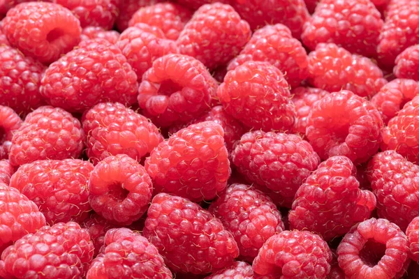 Fresh Sweet Raspberries Background — Stock Photo, Image