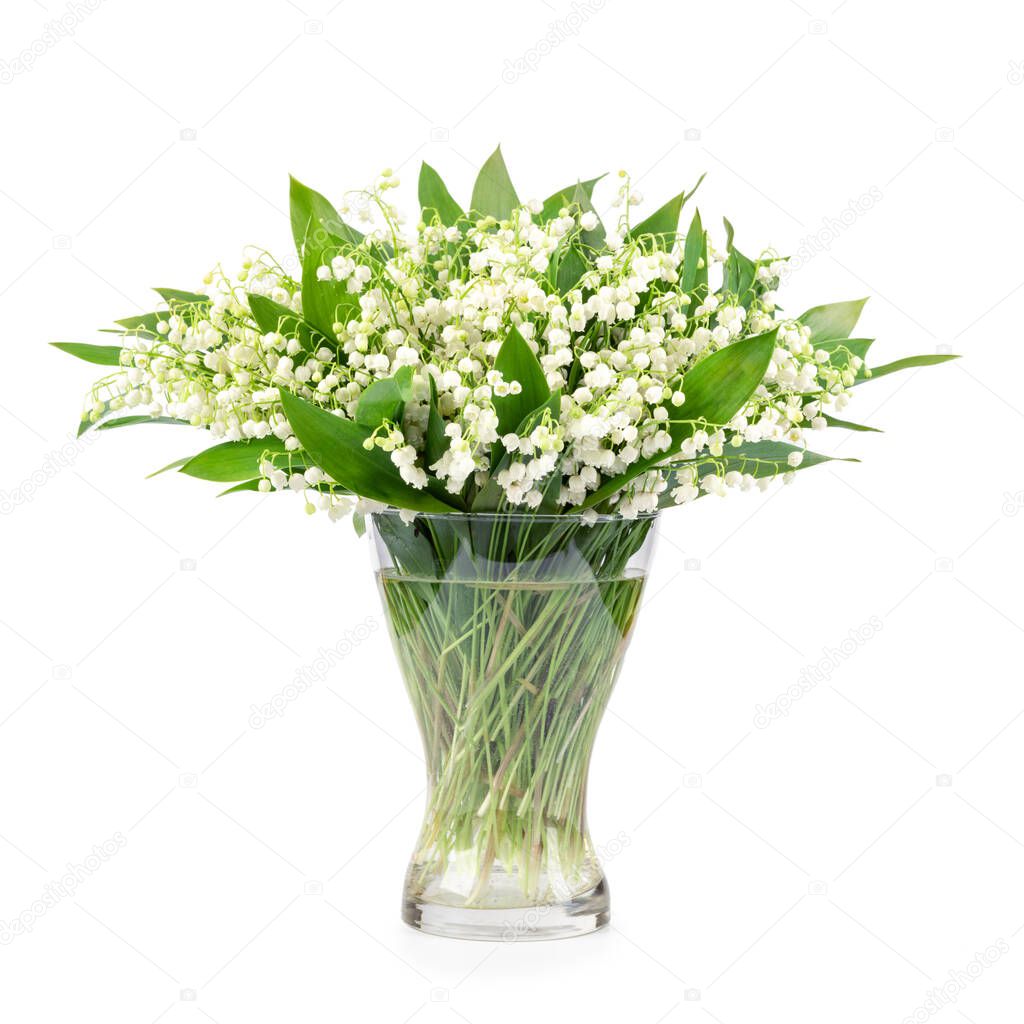 Bouquet of lilies of the valley on white background
