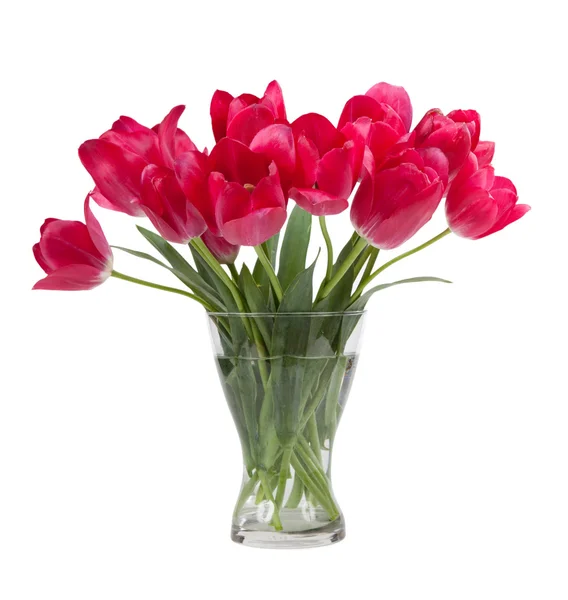Bouquet of tulips in glass vase isolated on white background — Stock Photo, Image