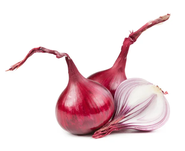 Bulbes de légumes à l'oignon isolés sur fond blanc — Photo