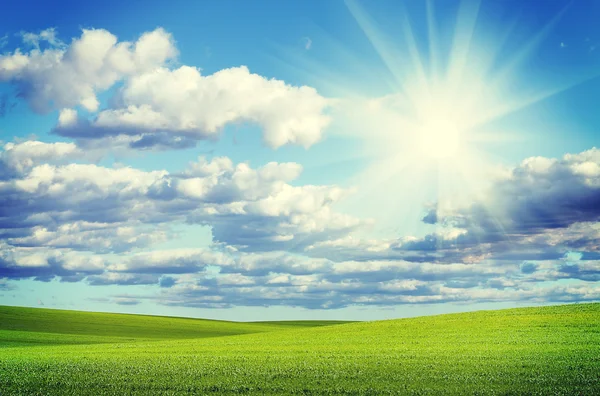 Field and cloudy sky landscape — Stock Photo, Image