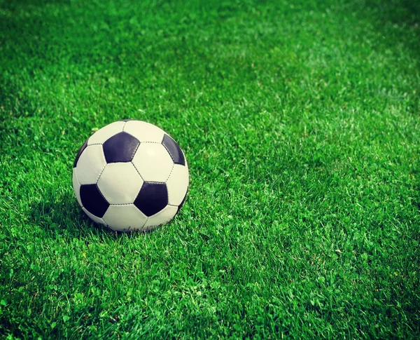 New soccer ball on green grass — Stock Photo, Image