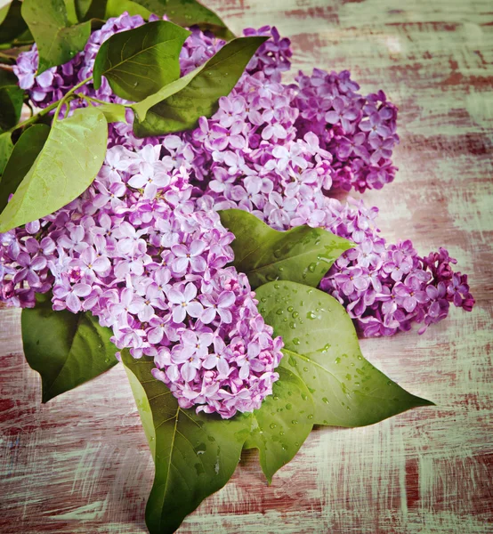 Flowers lilac on old boards. — Stock Photo, Image