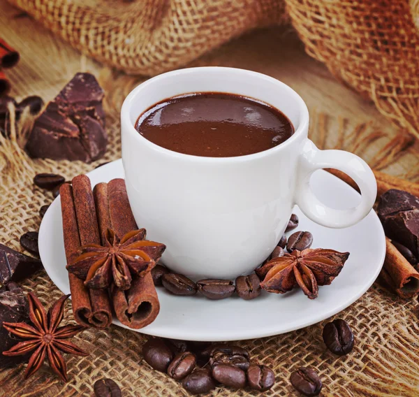 Sıcak çikolata tarçın ile — Stok fotoğraf