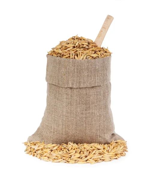 Oats in bag — Stock Photo, Image