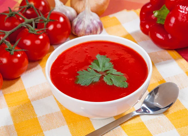 Tomato soup and vegetables — Stock Photo, Image