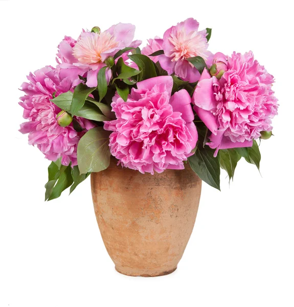 Flowers in vase — Stock Photo, Image