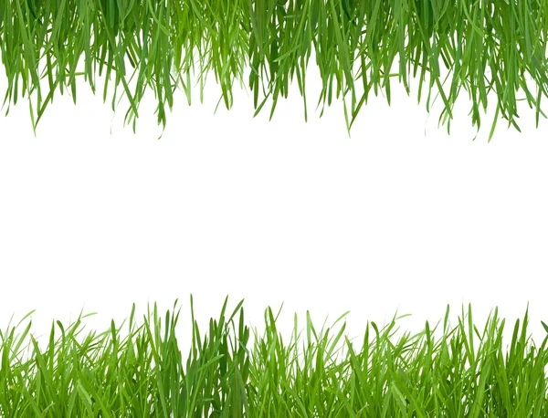 Achtergrond met groene gras — Stockfoto