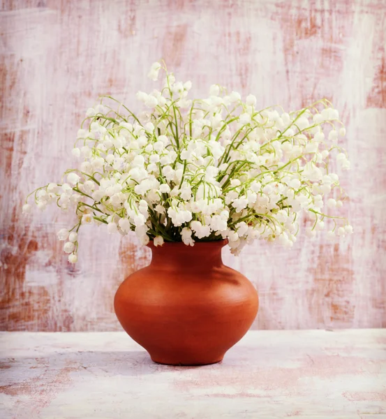 Lily-of-the-valley in pot — Stock Photo, Image