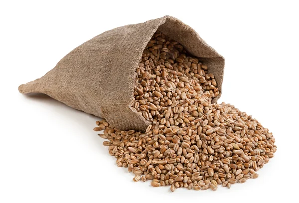 Wheat grains in bag — Stock Photo, Image