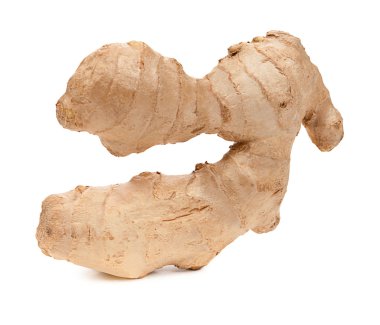 taze zencefil kökü