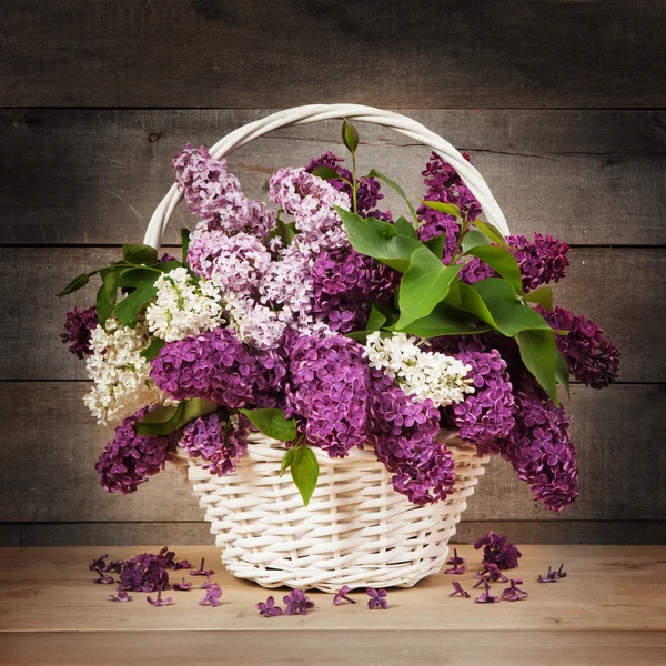 Lilas dans le panier — Photo