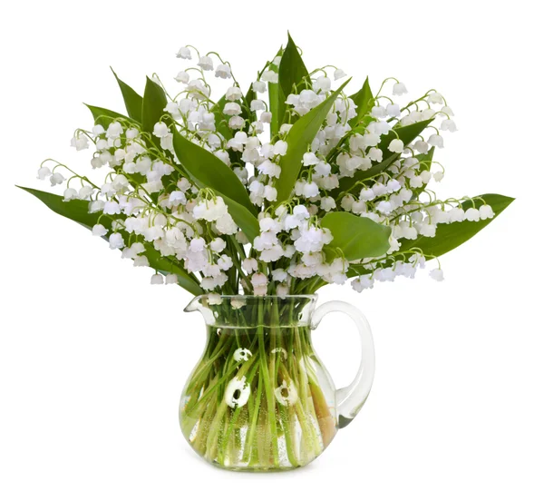 Lilies of the valley — Stock Photo, Image