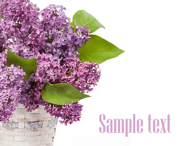 Lilacs in glass vase — Stock Photo, Image