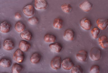 çikolata fındık arka plan