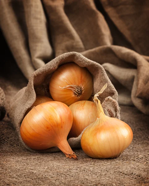 Fresh onions in basket — Stock Photo, Image