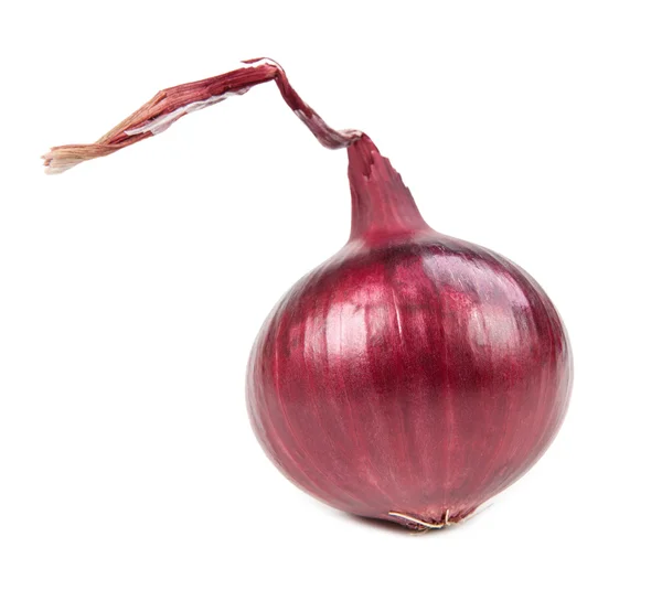 Red fresh onion — Stock Photo, Image