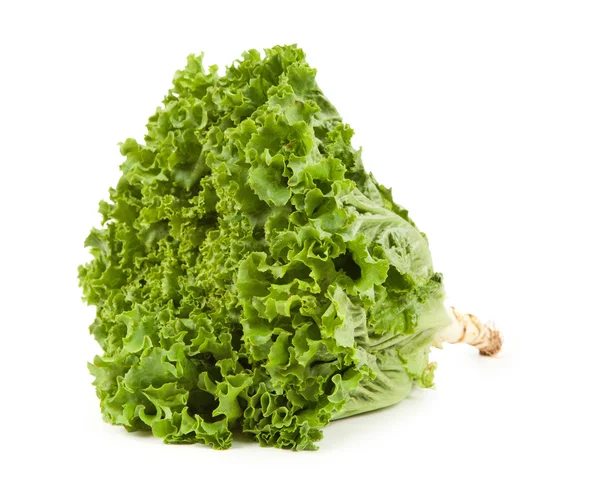 Hojas de ensalada verde —  Fotos de Stock