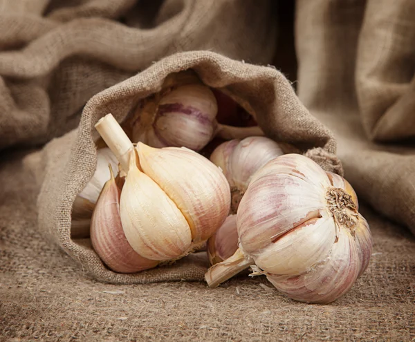 Fresh garlic cloves — Stock Photo, Image