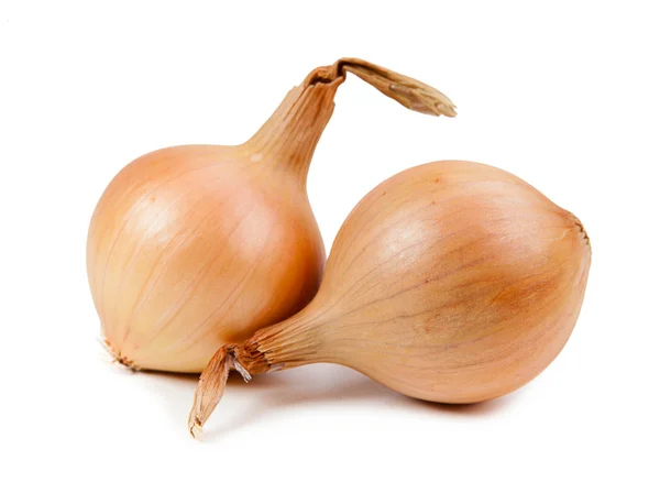 Two fresh onions — Stock Photo, Image