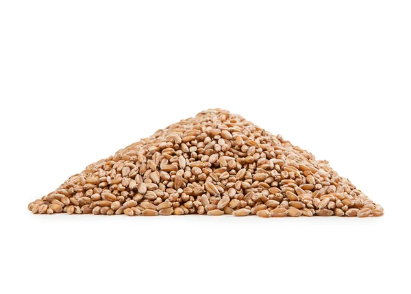 Wheat organic grains — Stock Photo, Image