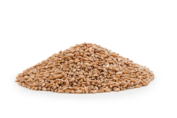 Slide wheat grains — Stock Photo, Image