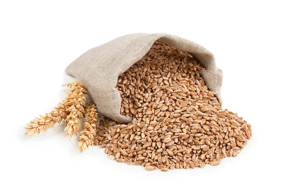 Wheat in bag — Stock Photo, Image