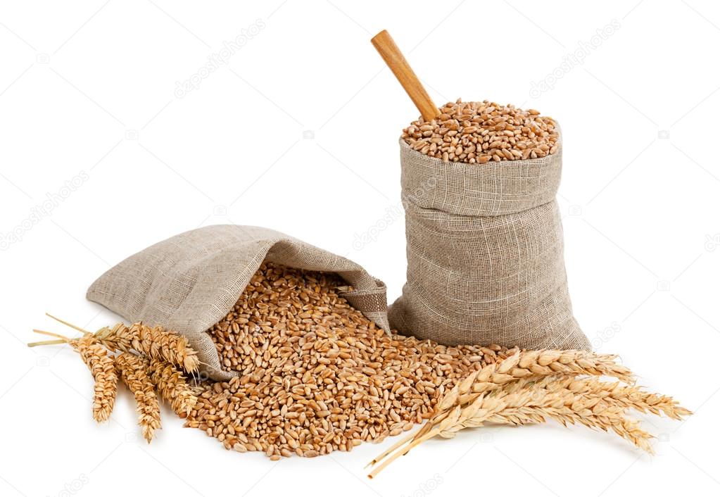 Wheat and ears