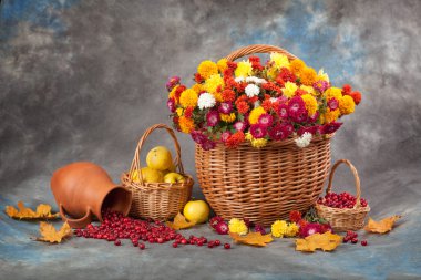 Sonbahar sakin bir hayat