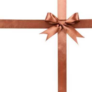 Kahverengi hediye yay