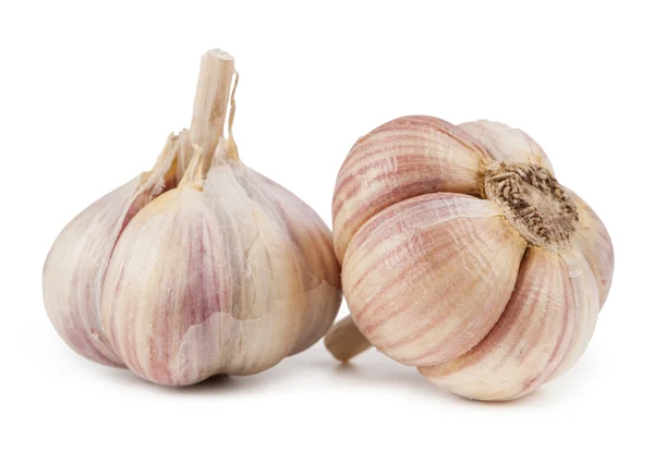 Fresh garlic cloves — Stock Photo, Image