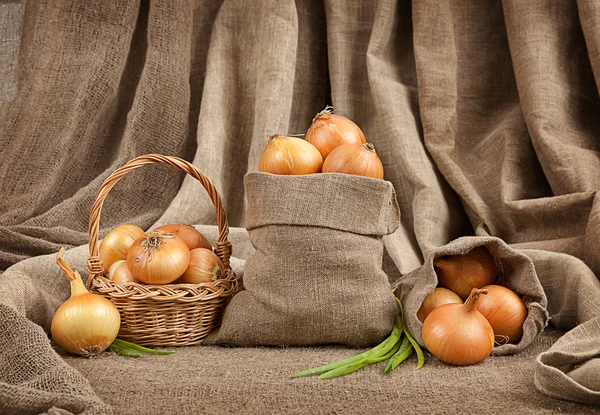 Cebolas em saco e cesta — Fotografia de Stock