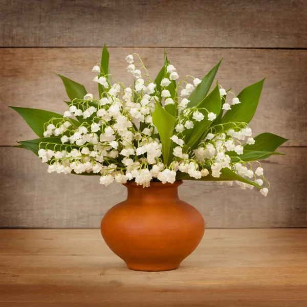 Lily of the valley in klei pot — Stockfoto