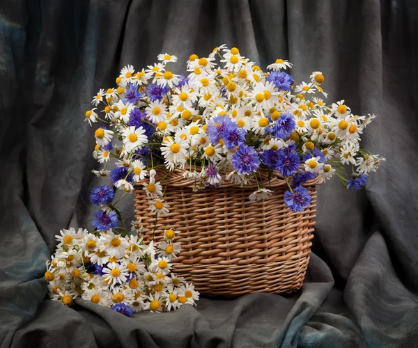 Bouquet de lilas sur les vieilles planches — Photo