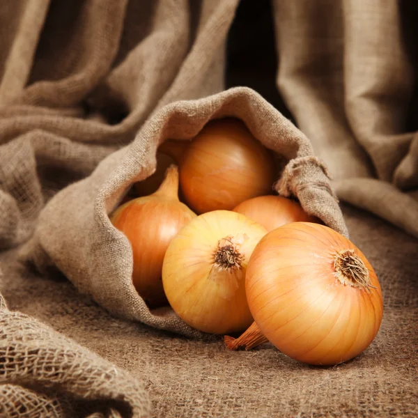 Zwiebelschwamm aus der Tüte mit grobem Stoff — Stockfoto