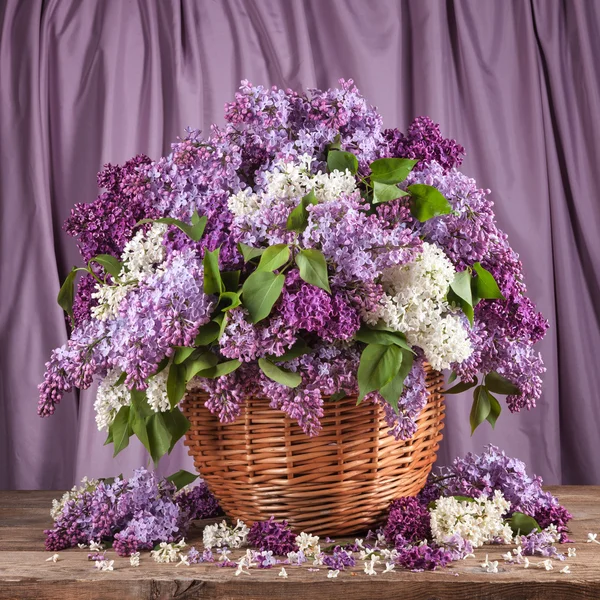 Lilacs in a basket on a purple background — Stock Photo, Image