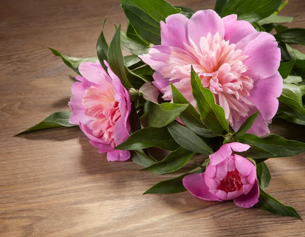 Beautiful peonies on the old board — Stock Photo, Image