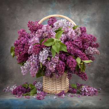 demet leylak eski kurulları