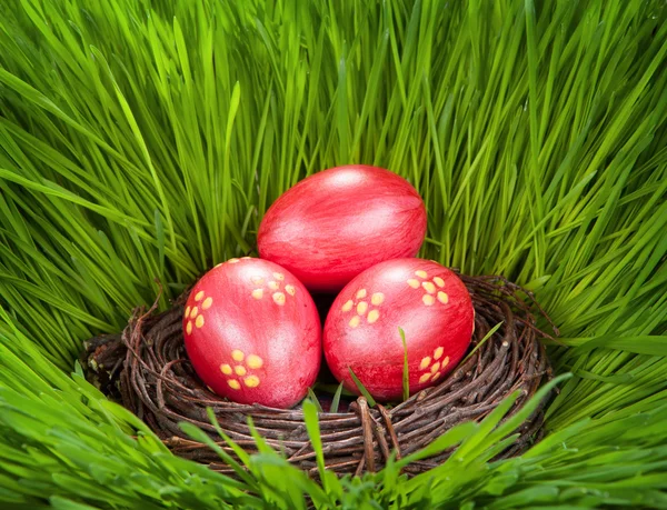 Easter concept. Eggs in a nest in the grass — Zdjęcie stockowe