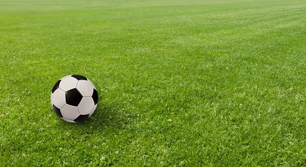 Sports concept. Ball on the soccer field — Stock Photo, Image
